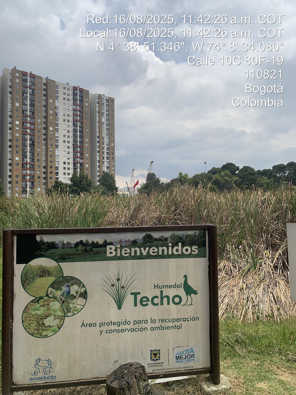 KENNEDY – Humedal Techo